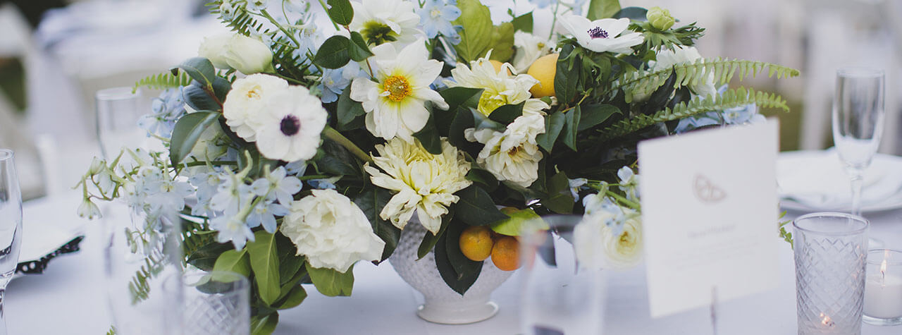 View More: http://suzijacobs.pass.us/shaynekenny